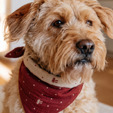 POPPY Dog Bandana