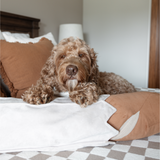 GIANT BAGUETTE - Lambwolf Collective