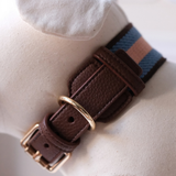 ASTOR COLLAR