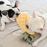 PINEAPPLE POP - Lambwolf Collective