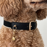 Kettlebell Collar Charm