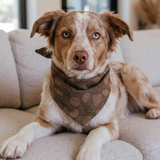 HARVEST Dog Bandana
