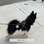 OTTO - Lambwolf Collective