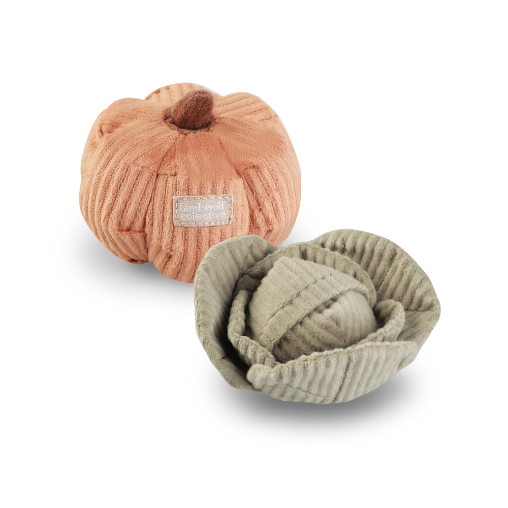 Evidence / Cats & Dogs 2LP 新品未開封 Kitty Veggie Set- Enrichment and Interactive Dog Toy | Puzzle Dog Toy