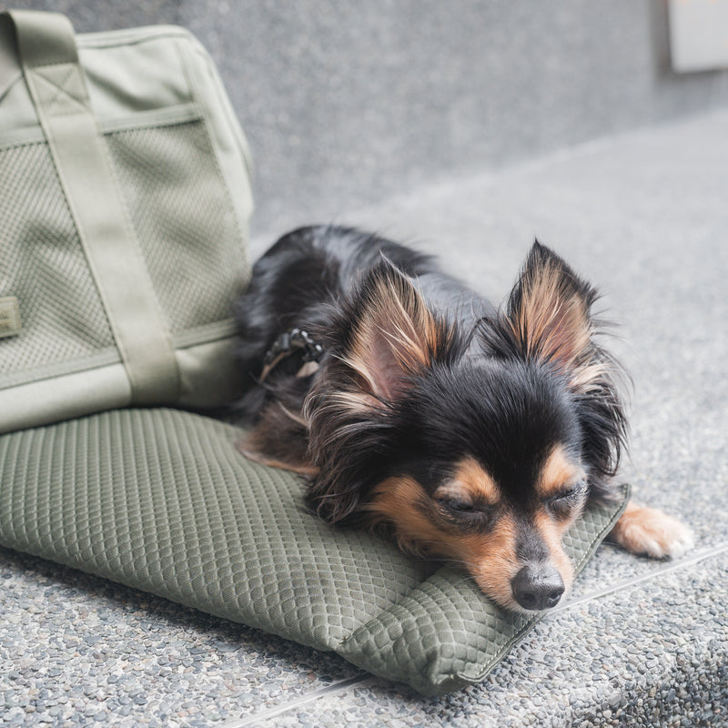Best dog carrier deals for subway