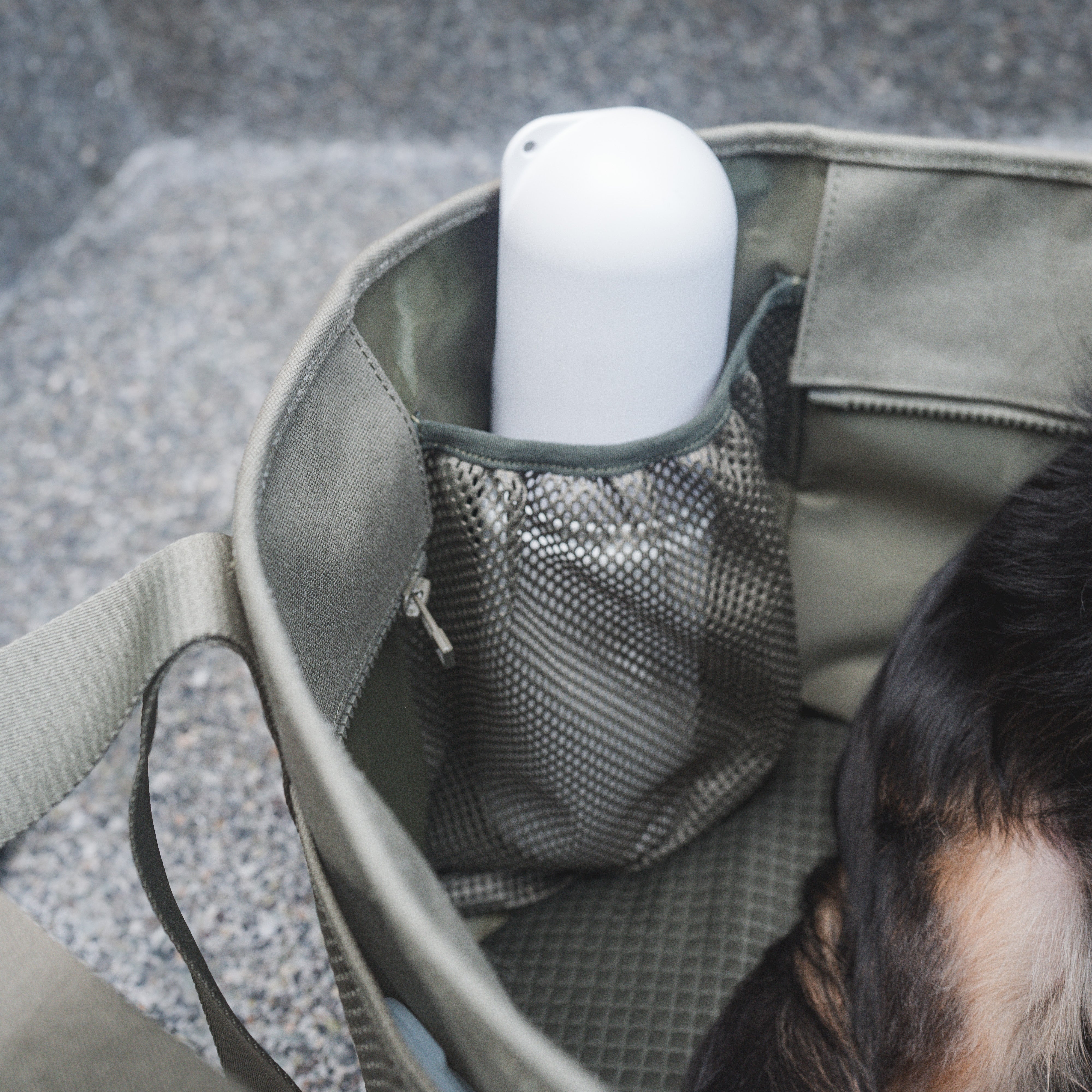 SUBWAY - Lambwolf Collective