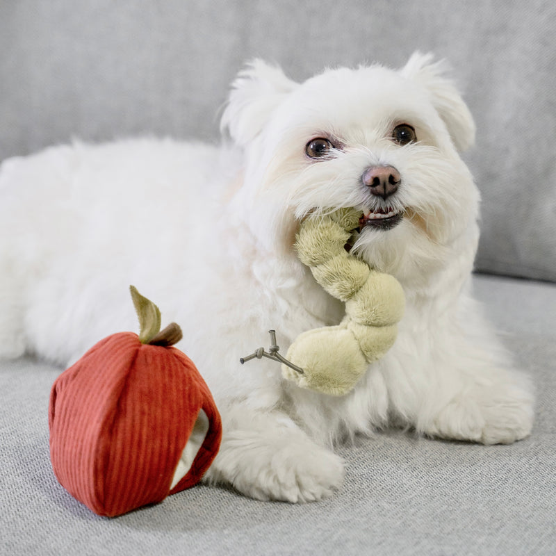 Dog Snuffle Cute Worm Food Toy