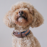 ASTOR COLLAR