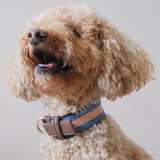 ASTOR COLLAR