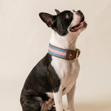 ASTOR COLLAR