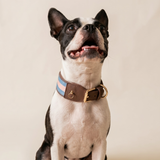 ASTOR COLLAR
