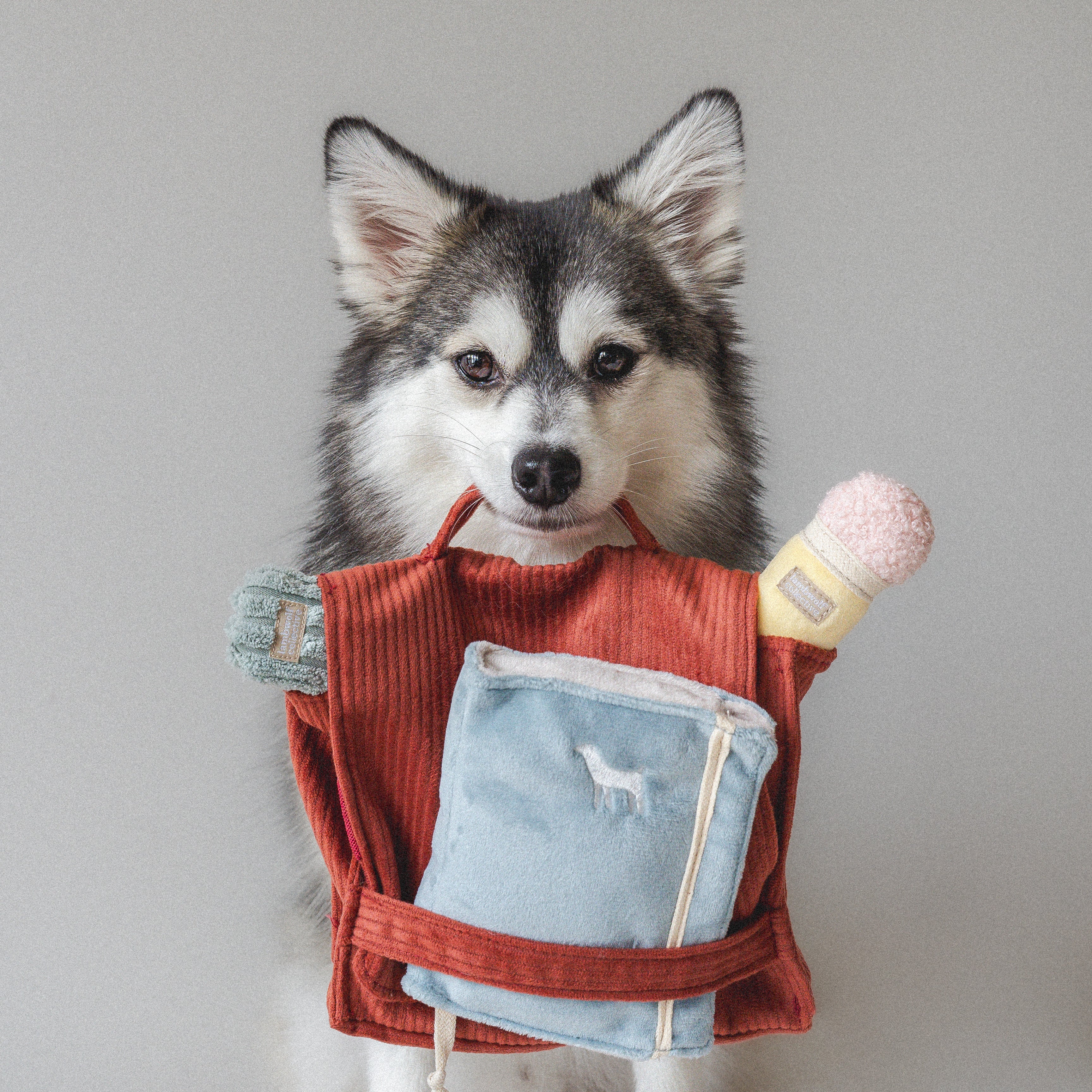 BACK TO SCHOOL - Lambwolf Collective