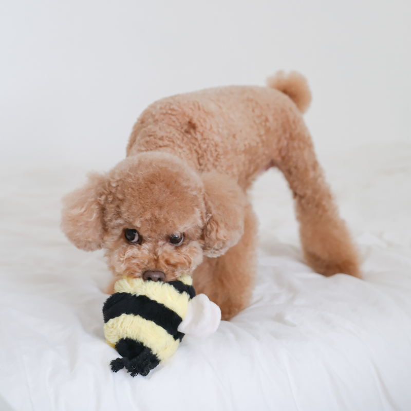 BEE POP Interactive Enrichment Dog Toy Squeaker Dog Toy