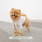 BRETON - Lambwolf Collective