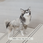 CHELSEA - Lambwolf Collective