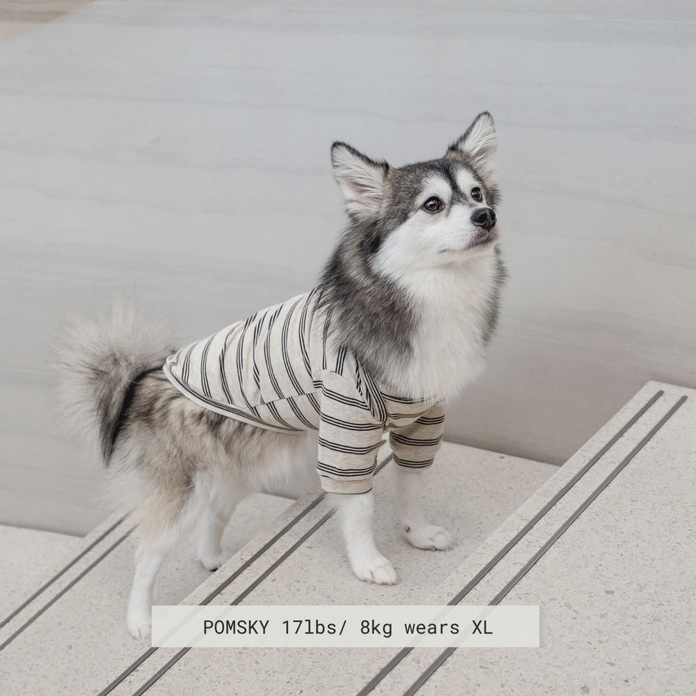 CHELSEA - Dog Clothes | Dog Apparel | Dog T shirt