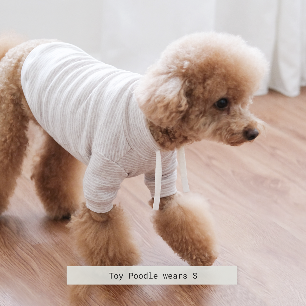 BRETON Dog Clothes Dog Apparel Dog T shirt - Main Image
