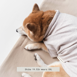 BRETON - Lambwolf Collective