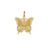 Papillon