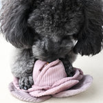 Cabbage POP - Lambwolf Collective