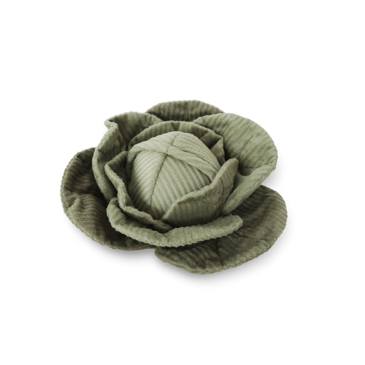 CABBAGEtrans.png?crop=center&