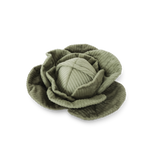 Cabbage POP - Lambwolf Collective