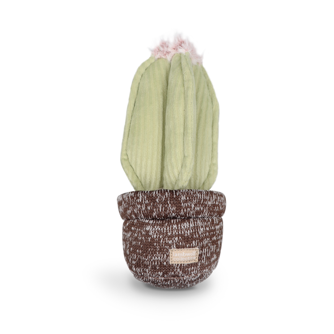 cactus in a cactus dog toy Lambwolf Cactus Plush Dog Toy