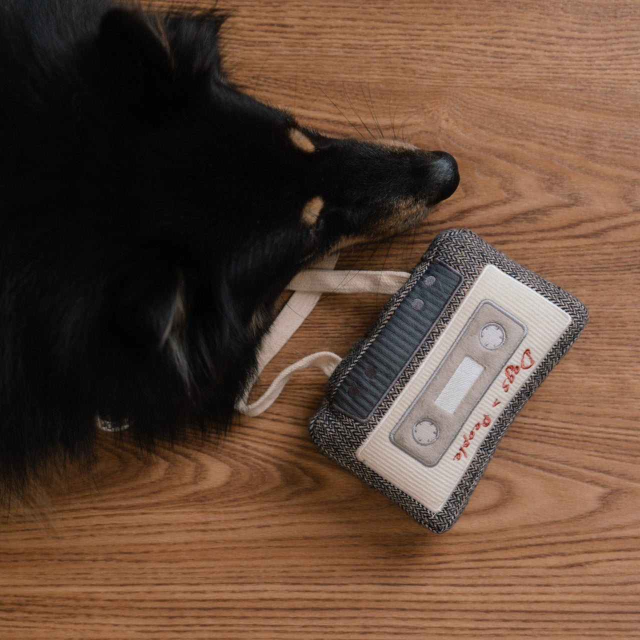 CASSETTE - Lambwolf Collective