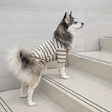 CHELSEA - Lambwolf Collective