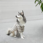 CHELSEA - Lambwolf Collective