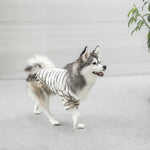 CHELSEA - Lambwolf Collective