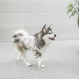 CHELSEA - Lambwolf Collective