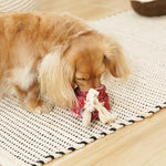 LOLLIPOP - Lambwolf Collective