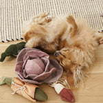 Cabbage POP - Lambwolf Collective