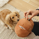 CINDERELLA - Lambwolf Collective