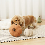 CINDERELLA - Lambwolf Collective