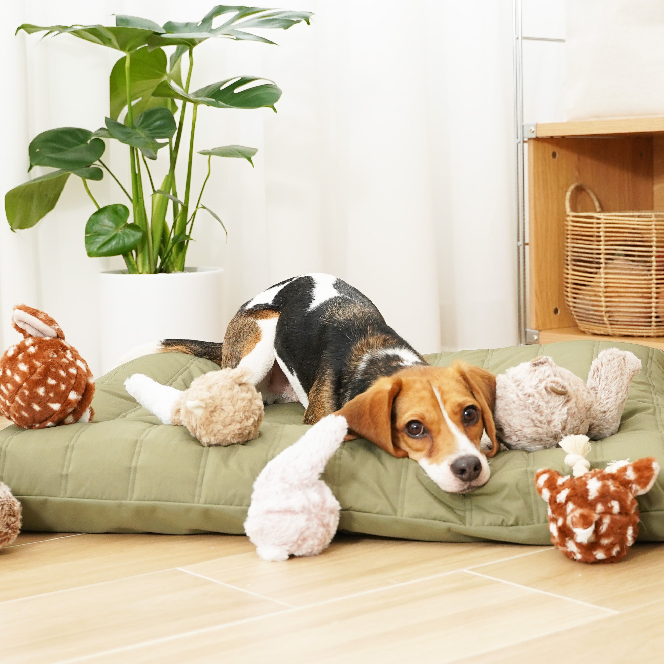 A Beagle puppy relaxes on a green dog bed surrounded by plush toys. 
