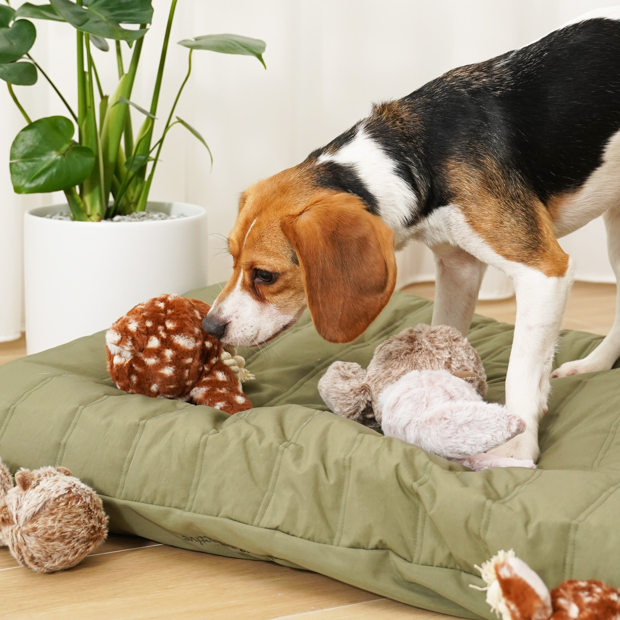 Fawn POP - Lambwolf Collective