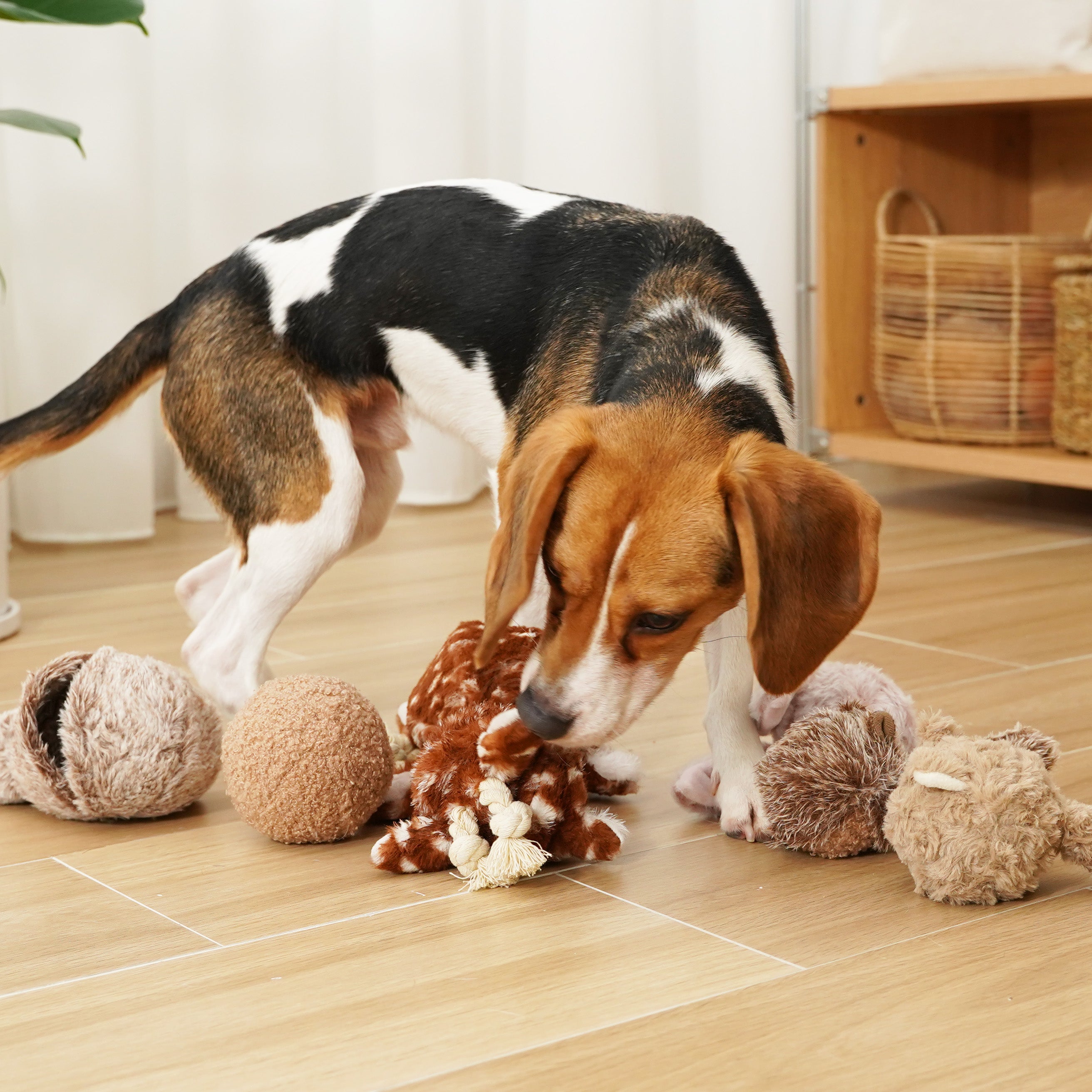 Fawn POP - Lambwolf Collective