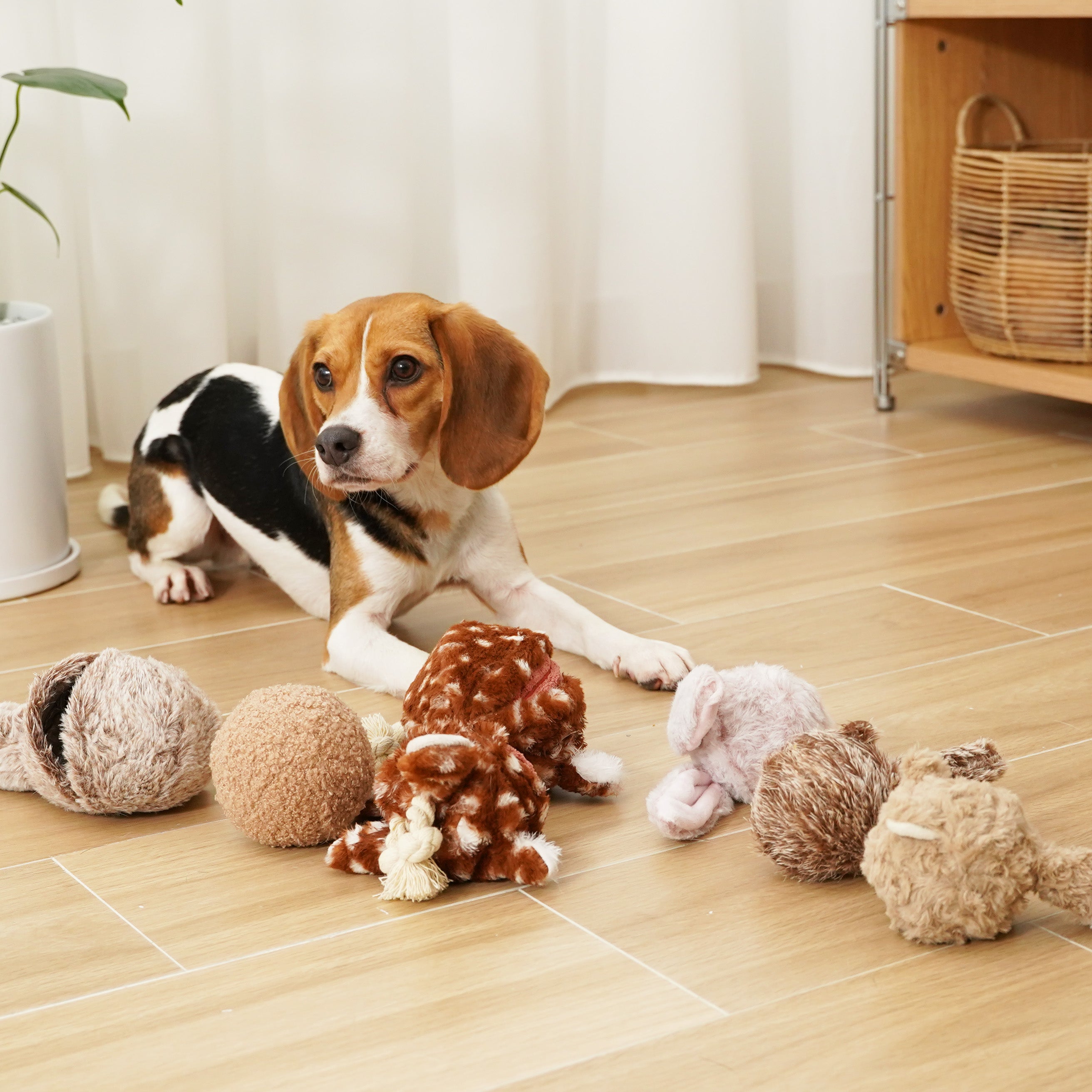 Fawn POP - Lambwolf Collective