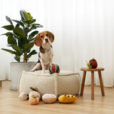 GRAPEFRUIT - Lambwolf Collective