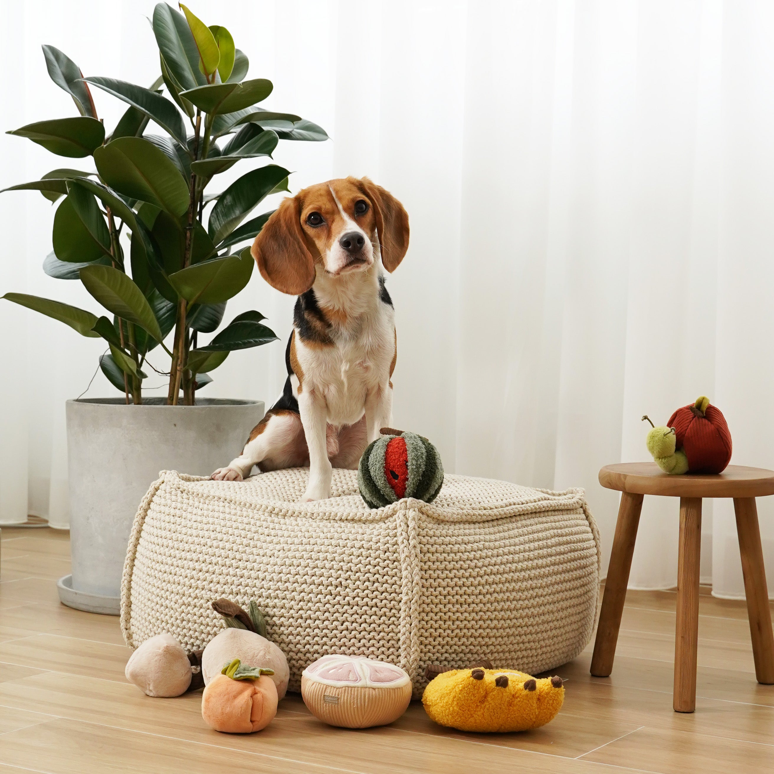 GRAPEFRUIT - Lambwolf Collective