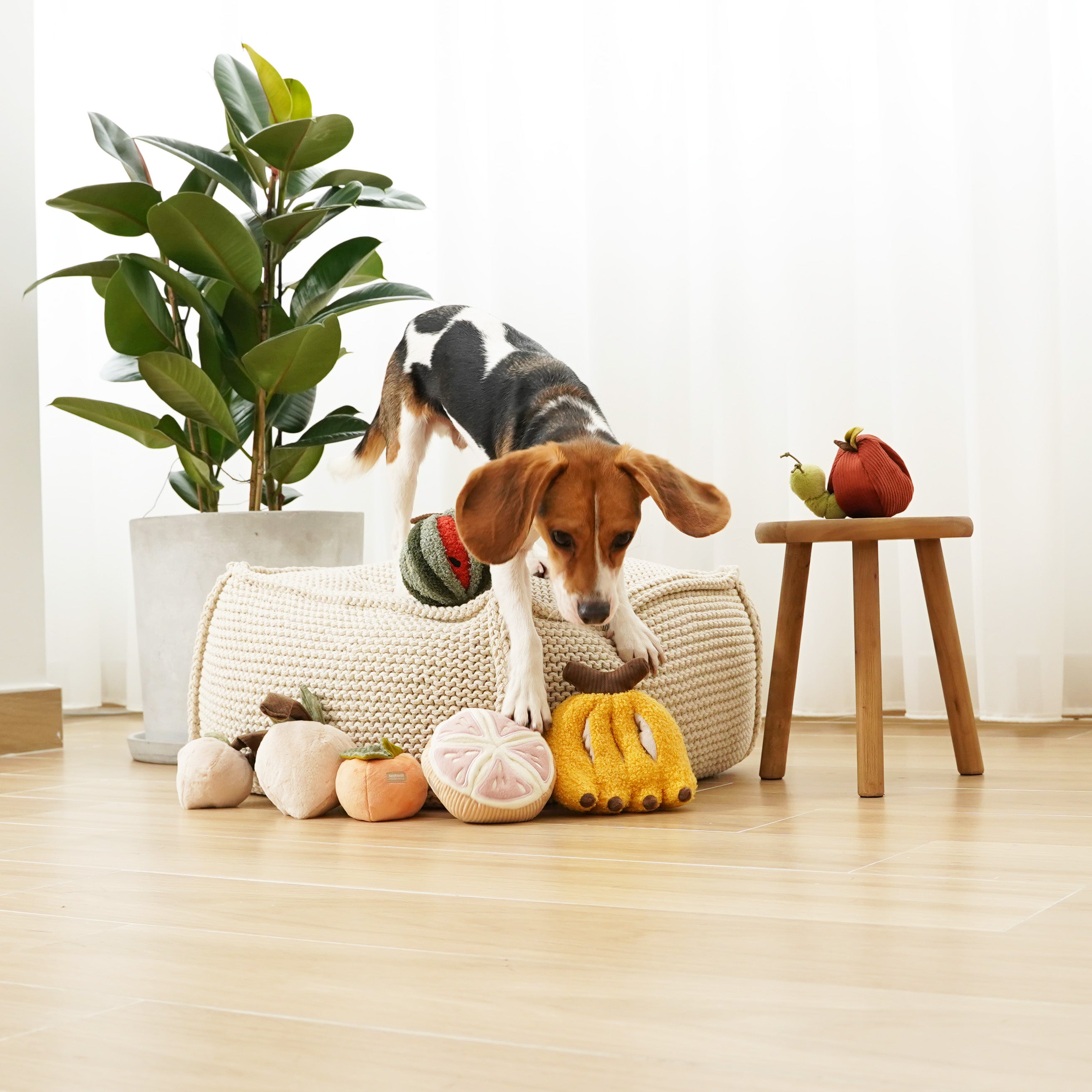 BANANA - Lambwolf Collective