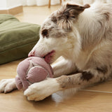 MONTI - Lambwolf Collective