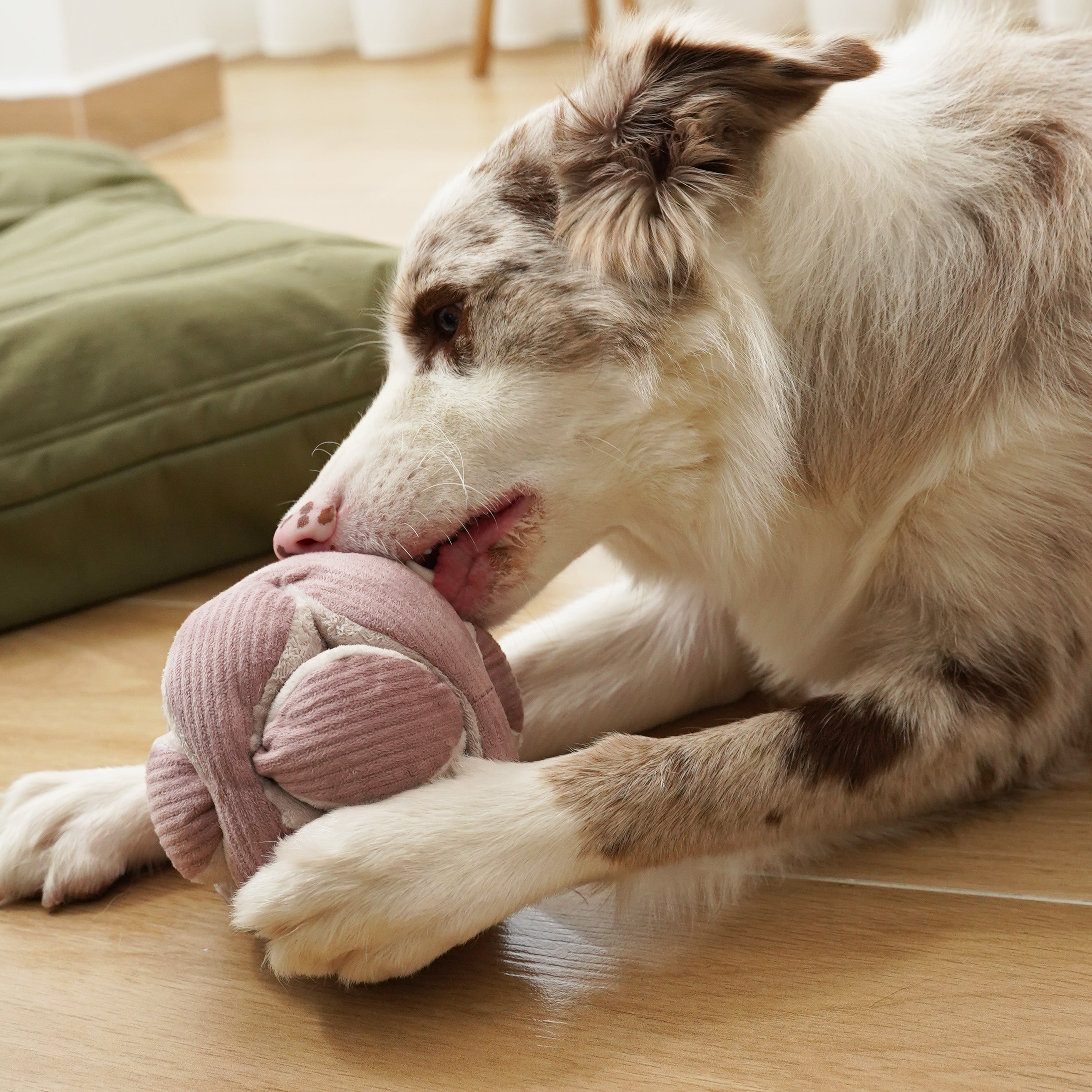 MONTI - Lambwolf Collective