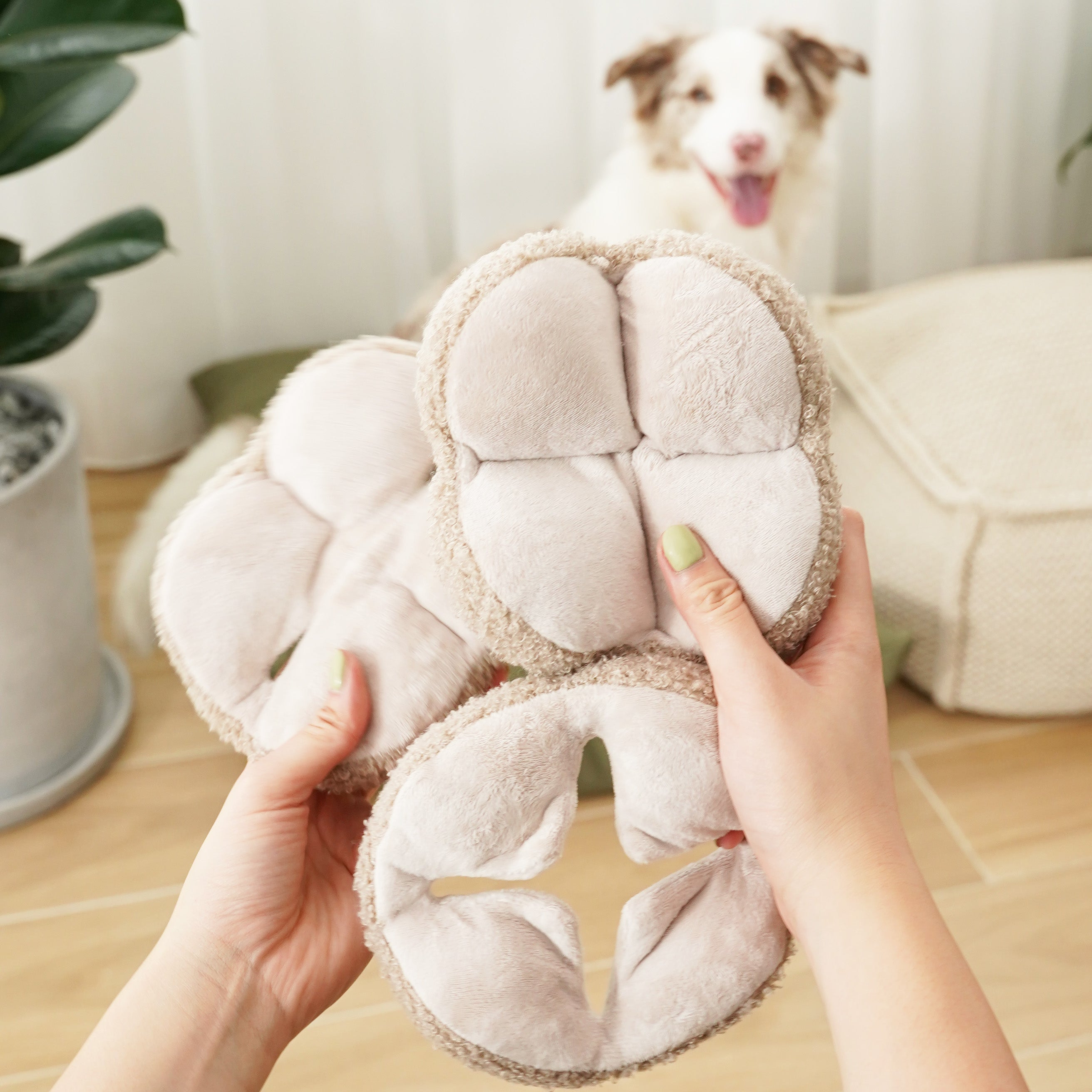 Hands hold three plush, paw-shaped dog toys. A brown and white dog watches in the background. 

