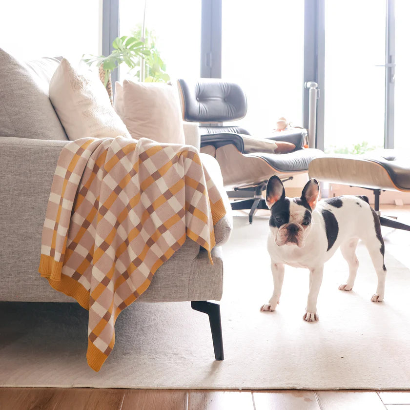 PICNIC BLANKET - Lambwolf Collective