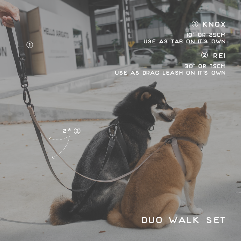 REI Hands Free Dog Leash Dog Collar Dog Harness