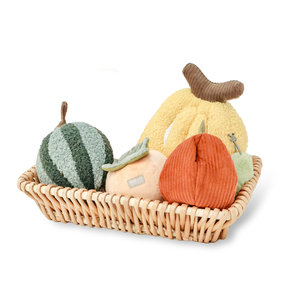 FRUIT PLAY SET- Enrichment Dog Toy