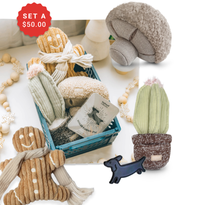 HOLIDAY SET